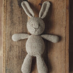 PATTERN Briar Bunny adorable knitting handknit rabbit image 3
