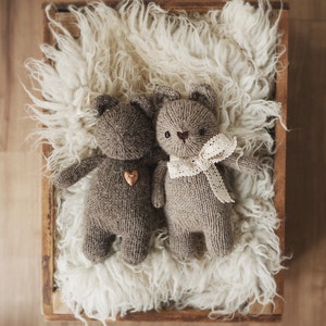 Può includere: Due orsacchiotti di peluche di lana marrone sdraiati su una superficie bianca e soffice all'interno di una scatola di legno.