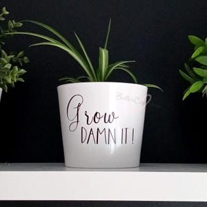 Jardinières personnalisées amusantes, jardinière à message Punny, cadeau unique, cadeau pour elle, jardinières et pots.