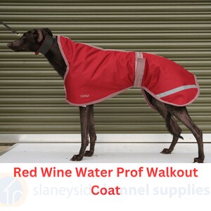 Op de afbeelding: Een rode hondenjas met reflecterende streep en het woord "Four Paws" aan de zijkant. De jas is ontworpen voor wandelen en is waterdicht.
