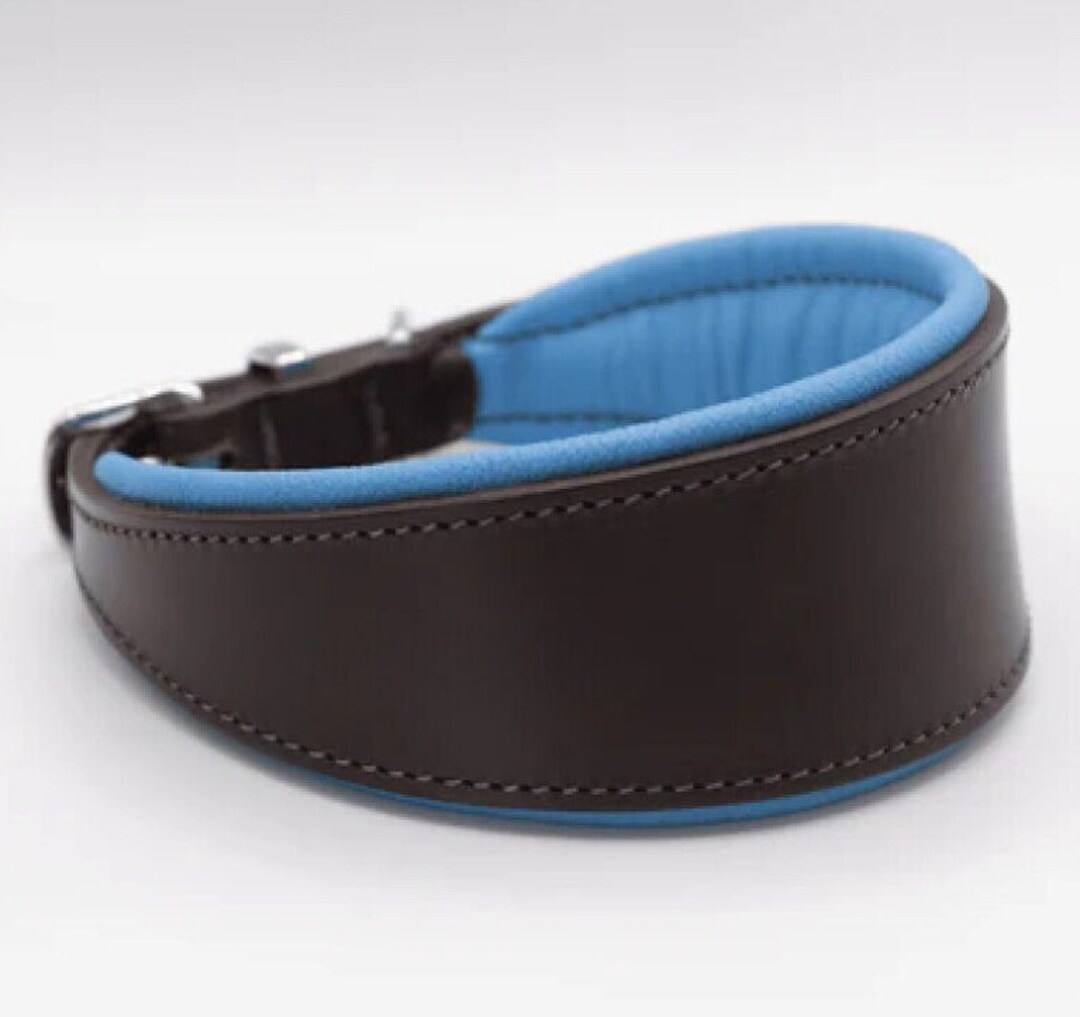 Leder-Hundehalsband – Schwarz, Gepolstert, Mit Messingschnalle, Für Halsumfang 45,7–55,9 Cm
