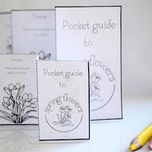 Guía de bolsillo con flores de primavera, manualidad de papel para imprimir, juego de identificación para colorear, kit educativo, idea de actividad de paseo por la naturaleza, PDF