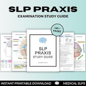 Studiegids SLP Praxis