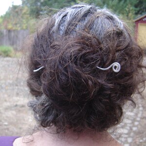 May include: A silver hair clip with a curled end, holding back a woman's brown and gray hair.