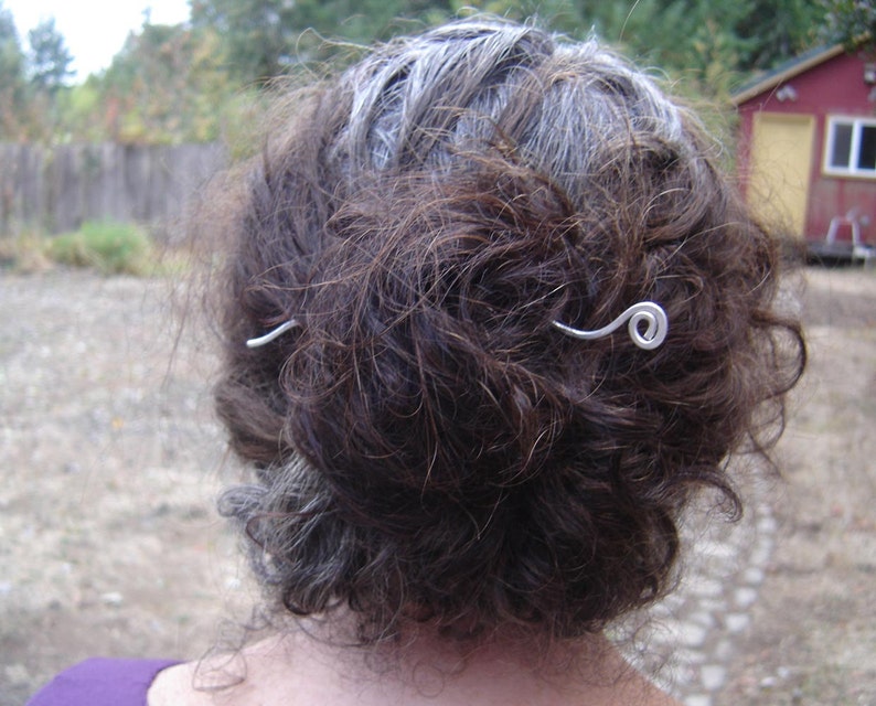 May include: A silver hair clip with a curled end, holding back a woman's brown and gray hair.