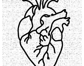 Heart Human / Vector / Imagen Digital / PNG / EPS /