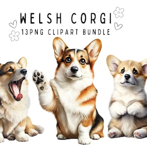 Welsh Corgi Clipart Bundle | 13 High-Quality PNG Files | Digital Planner, Junk journal, Digital Download, Sublimation | Commercial Use