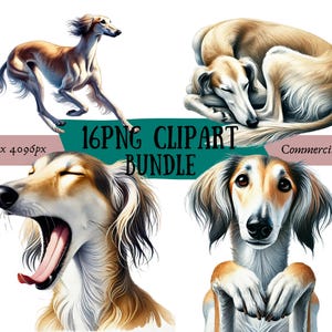 Lot de cliparts saluki aquarelle | 16 fichiers PNG de haute qualité | Agenda numérique, Journal indésirable, Téléchargement numérique, Sublimation | Utilisation commerciale