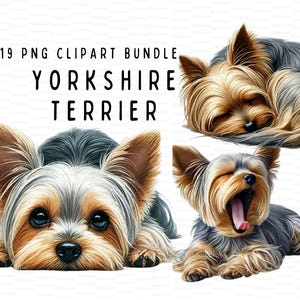 Yorkshire Terrier Watercolor Clipart Bundle 19 Quality PNGs, Printable Commercial Use. Planner, Junk journal, Digital Download, Sublimation