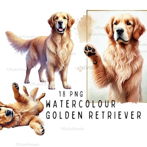 Golden retriever-clipartbundel | 10 hoogwaardige png-bestanden | Digitale planner, junkjournaal digitale download sublimatie | Commercieel gebruik