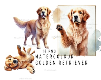 Watercolor Golden Retriever Clipart: PNG Bundle, Commercial Use (Digital Download)