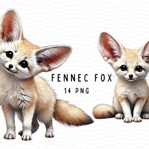 Lot de cliparts fennec renard aquarelle | 14 fichiers PNG de haute qualité, agenda numérique, journal indésirable en téléchargement numérique, sublimation, usage commercial