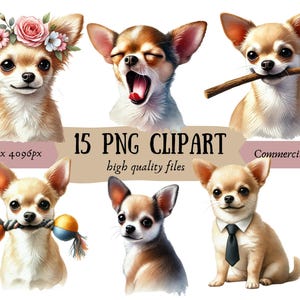Lot de cliparts chihuahua beige | 15 fichiers PNG de haute qualité | Agenda numérique Chihuahua, journal indésirable, téléchargement numérique | Utilisation commerciale