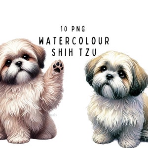 Shih Tzu-clipartbundel | 10 hoogwaardige png-bestanden | Digitale planner Shih Tzu, Junkjournaal, Digitale download Shih Tzu commercieel gebruik