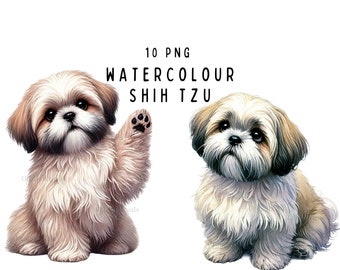 May include: Two watercolor illustrations of Shih Tzu dogs. One dog is sitting with its paw raised, the other is sitting with its head tilted. Both dogs have fluffy white and brown fur.
