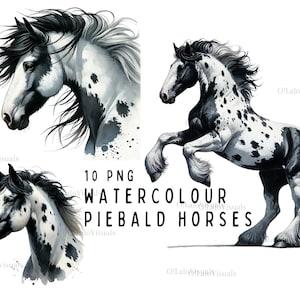 Cavalo Malhado Clipart Alta Qualidade PNGs Animal Clipart Berçário Arte Cartão Fazendo Cavalo Clip Art Digital Paper Craft Cavalo Sublimação Design