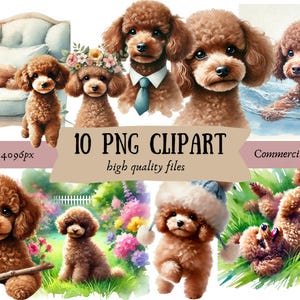 Lot de 2 cliparts caniche toy marron, 10 fichiers PNG de haute qualité | Journal numérique pour agenda électronique, téléchargement numérique, sublimation, utilisation commerciale