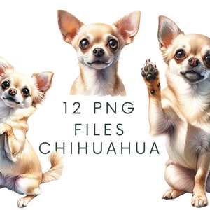 Beige Chihuahua clipartbundel | 12 PNG-bestanden van hoge kwaliteit | Chihuahua digitale planner, junk journal, digitale download | Commercieel gebruik