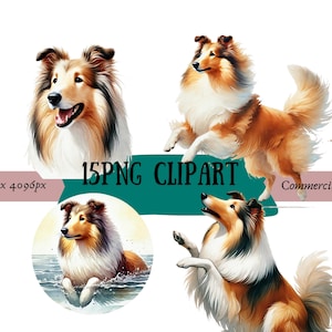 Collie Clipart Bundle | 15 hochwertige PNGs | Digitaler Planer, Junk Journal, digitaler Download, Aquarell Sublimation kommerzielle Nutzung