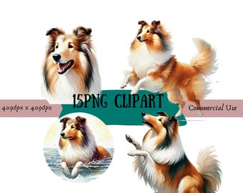 Rough Collie Watercolor Clipart Bundle: 15 PNGs, Commercial Use (Digital Download)