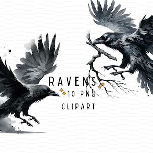 Bundle de cliparts aquarelle corbeau & corbeau, corbeau gothique PNG, corbeaux clipart animaux gothiques, oiseau noir PNG fichier numérique imprimable usage Commercial