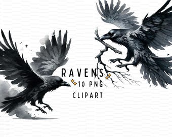 Clipartbundel aquarel raaf: gotische zwarte vogel png (digitaal afdrukbaar bestand)
