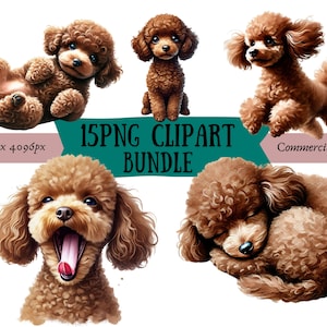 Zwergpudel Clipart-Bundle | 15 hochwertige PNG-Dateien | Digitaler Planer, Junk Journal, digitaler Download, Sublimation | Kommerzielle Nutzung