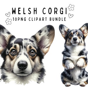 Welsh Corgi Clipart Bundle | 10 High-Quality PNG Files | Digital Planner, Junk journal, Digital Download, Sublimation | Commercial Use