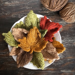 CROCHET PATTERN Autumn Leaves Pattern Set Digital Download Autumn Collection Crochet Leaf Pattern image 1