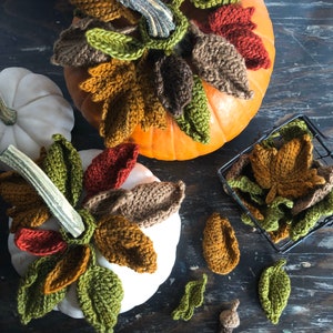 CROCHET PATTERN Autumn Leaves Pattern Set Digital Download Autumn Collection Crochet Leaf Pattern image 4