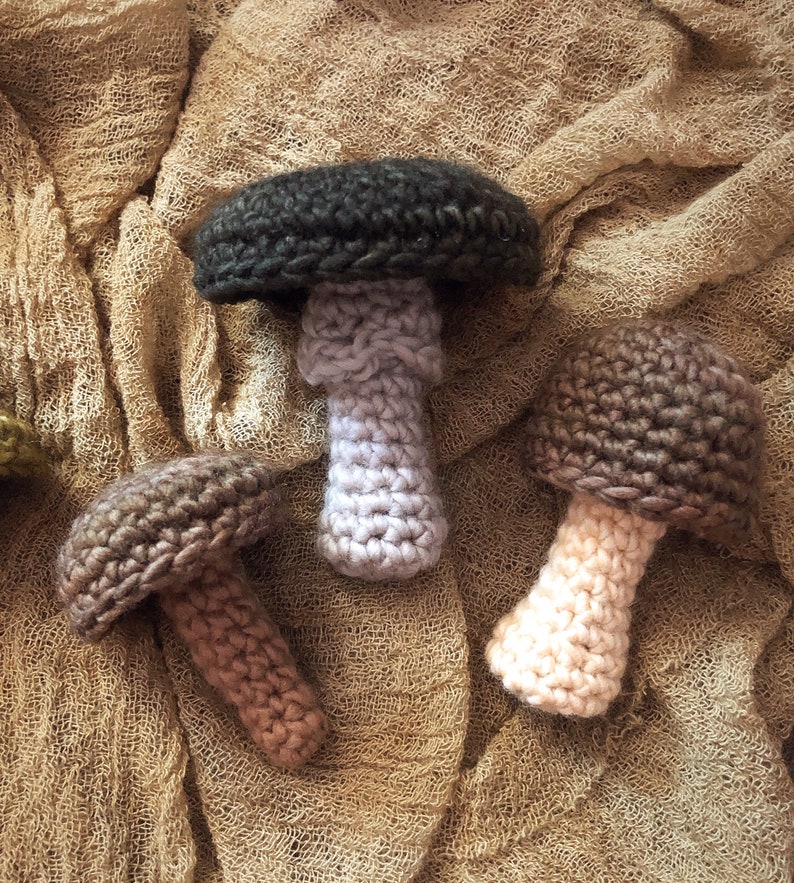 CROCHET PATTERN Mushrooms Pattern Set Digital Download image 5