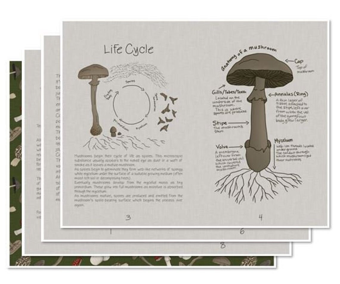 Printable Mushroom Book Digital Download | Etsy