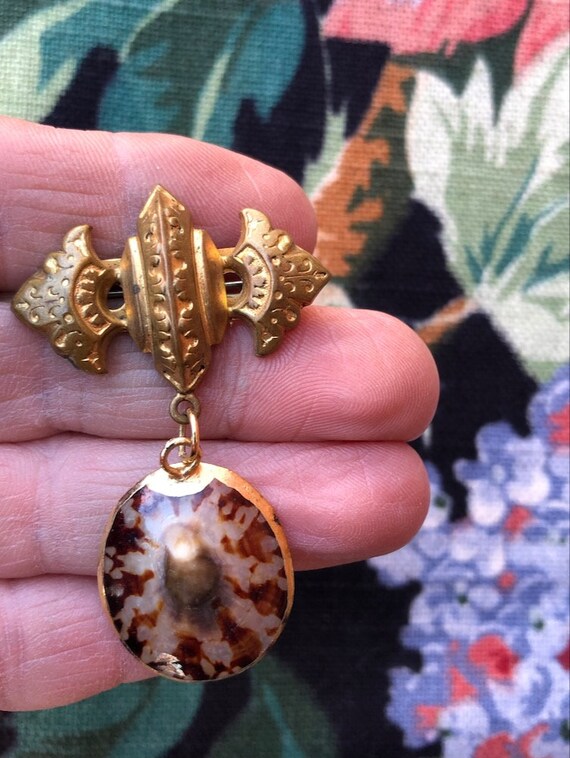 Vintage 1900s Chatelaine Shell Brooch Limpet - image 5