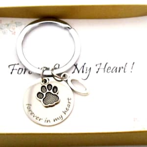 May include: A silver keychain with a paw print charm and the words "forever in my heart." The keychain is displayed in a small, gold-colored box with a decorative card that reads "Forever in My Heart!"