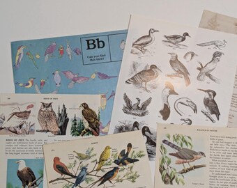 Bird Themed Vintage Mini Paper Pack - Assorted Ephemera for Scrapbooking and Junk Journals