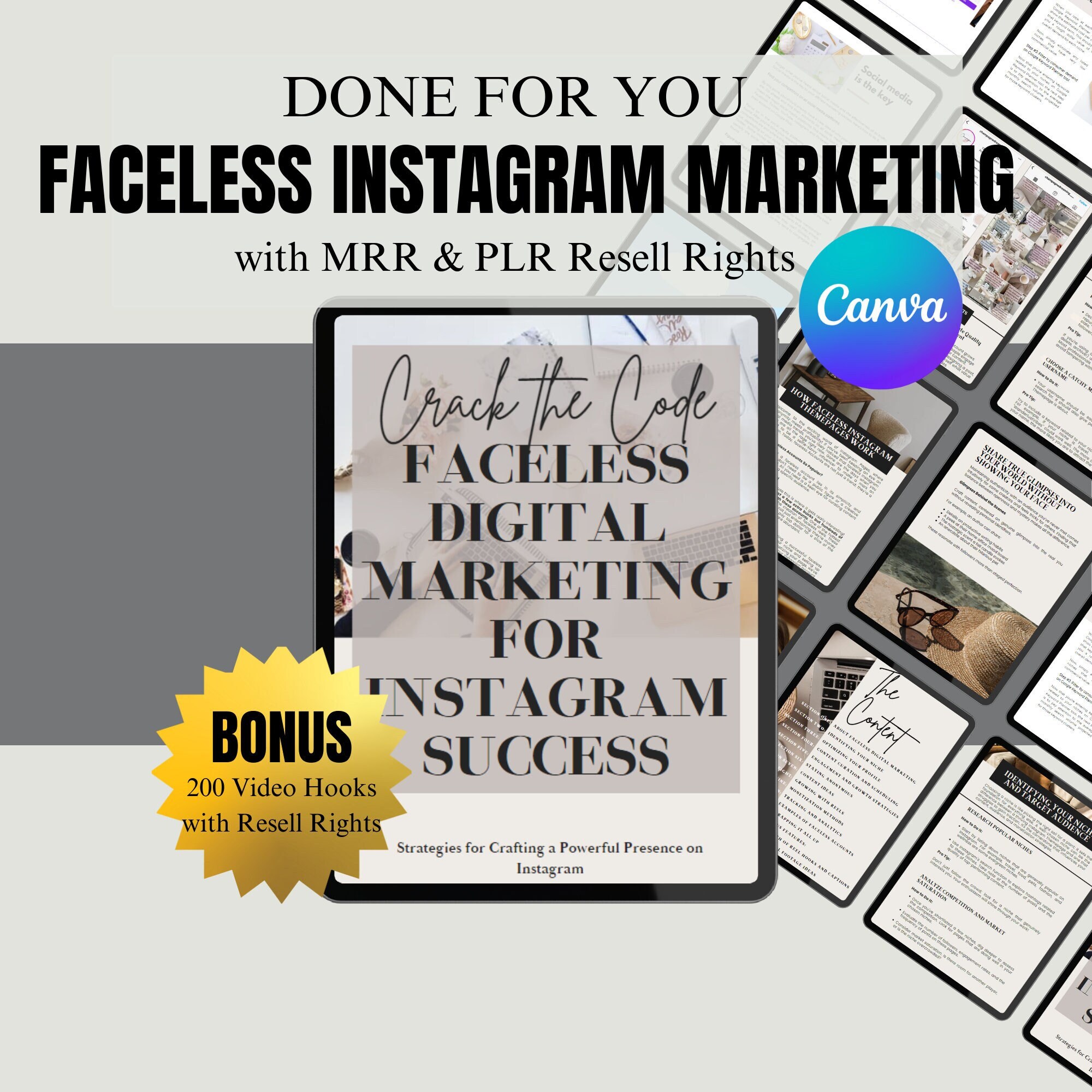 Faceless Digital Marketing Guide With Master Resell Rights (MRR) and ...