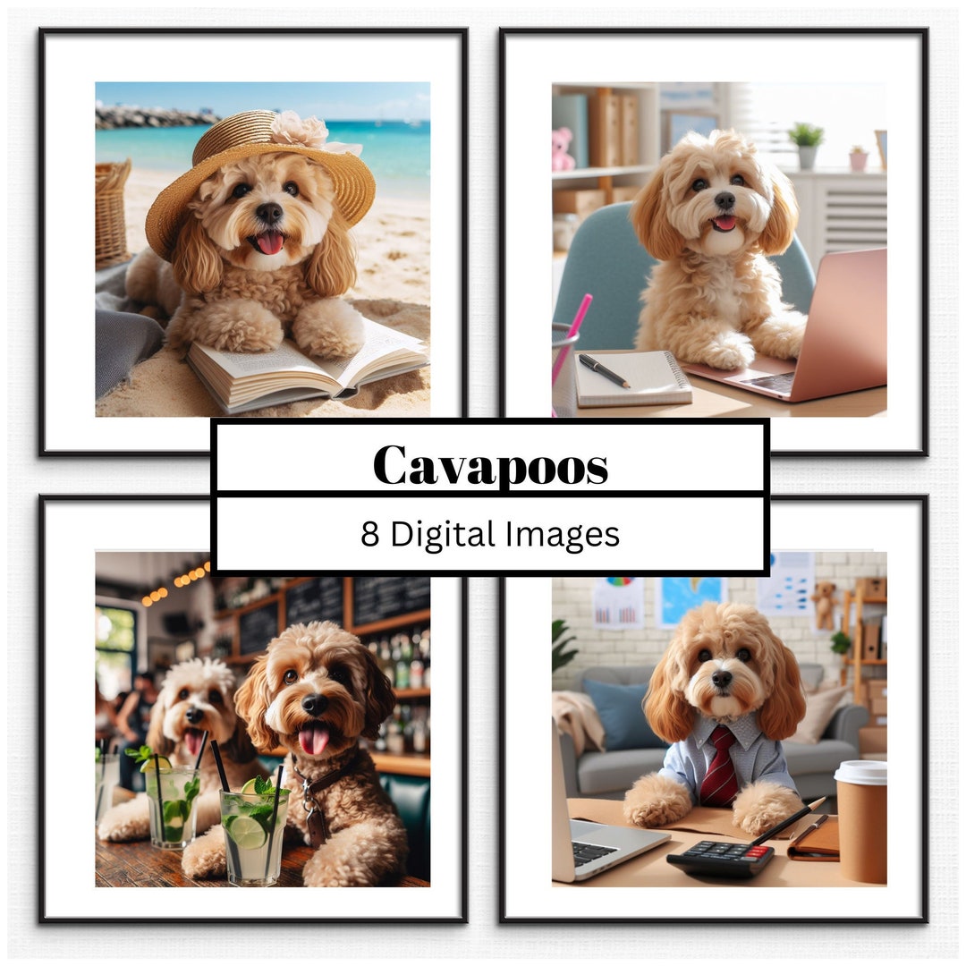 Cavapoos 8 Digital Images of Everyday Situations, Fun, Photos, Prints ...