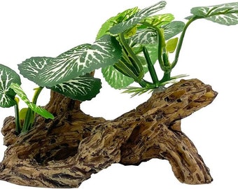 Drijfhout Vivarium decoratie