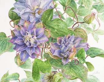 Clematis Watercolor Painting: Spring Garden Floral Art - Etsy 日本