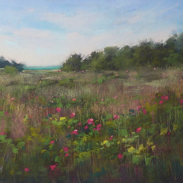 Original Pastel Contemporary Wildflowers PINK Poppies 18x24 by Karen Margulis psa