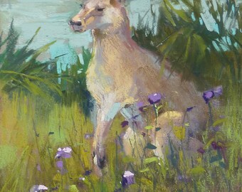 Kangaroo ROO Australia animal art 12x9  Original Pastel Painting