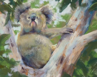 Koala Australia animal art 19x17  Original Pastel Painting