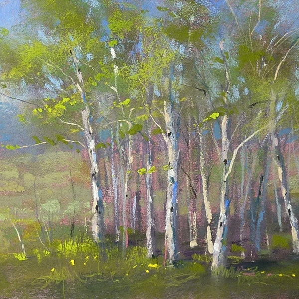 FOREST ASPEN trees  Landscape Original Pastel Painting Karen Margulis 9x12