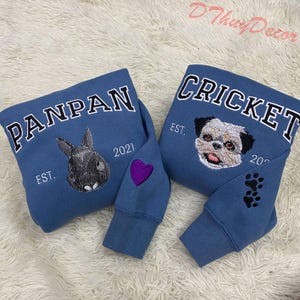 Personalized Cat Face Embroidered Sweatshirt, Varsity Personalized Pet Embroidered Shirt, Custom Hoodie With Pet Name, Christmas Gift