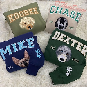 Personalized Cat Face Embroidered Sweatshirt, Varsity Personalized Pet Embroidered Shirt, Custom Hoodie With Pet Name, Christmas Gift