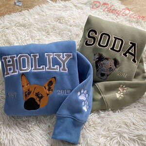 Personalized Cat Face Embroidered Sweatshirt, Varsity Personalized Pet Embroidered Shirt, Custom Hoodie With Pet Name, Christmas Gift