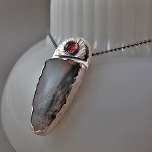 May include: A silver pendant necklace with a dark gray and brown agate stone and a red gemstone set in a silver sunburst design.