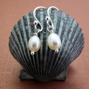 Pearl Earrings Sterling Silver and White Freshwater Pearl image 4