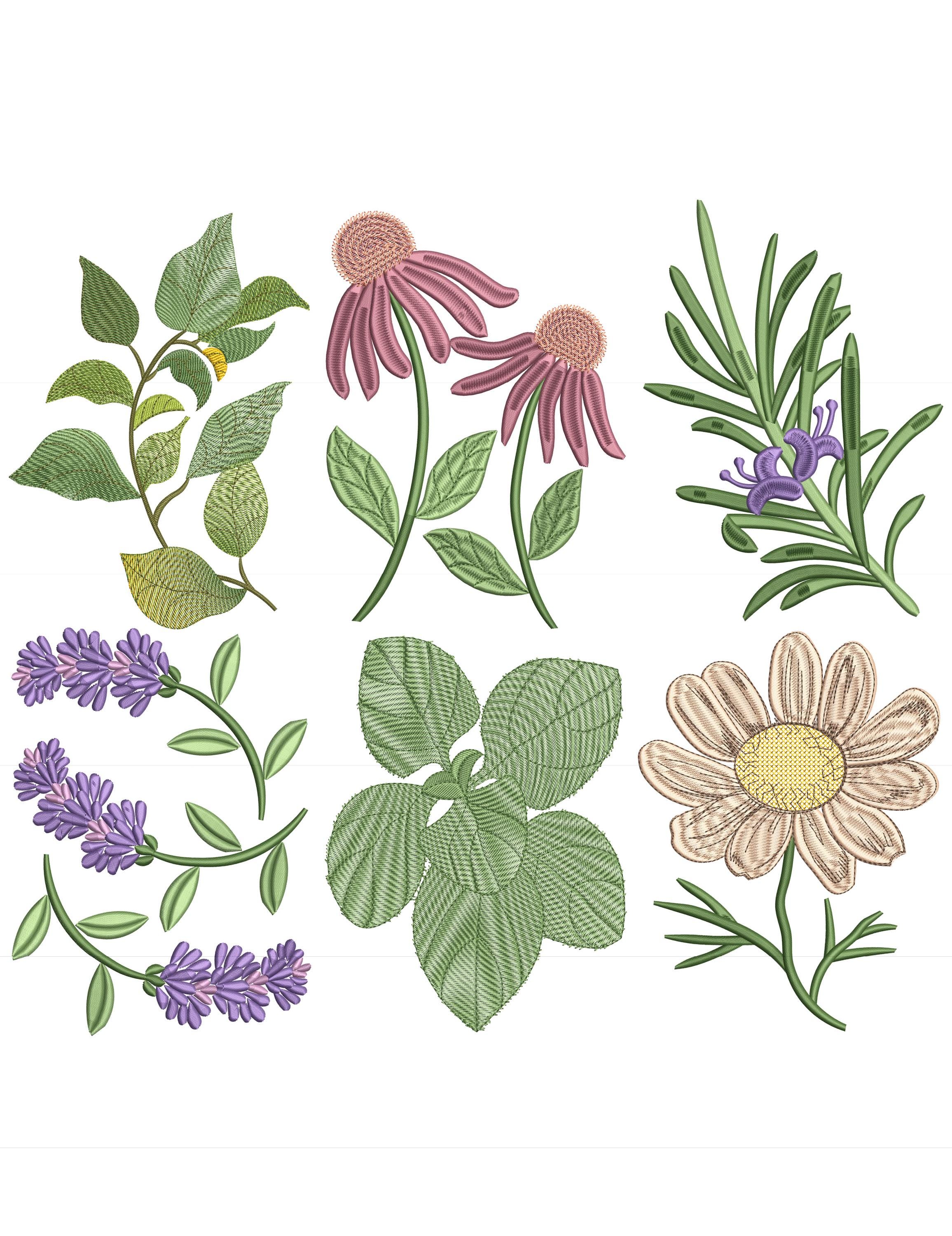 Herbal Collection Rosemary Oregano Basil Lavender Chamomile Echinacea Floral Embroidery Designs