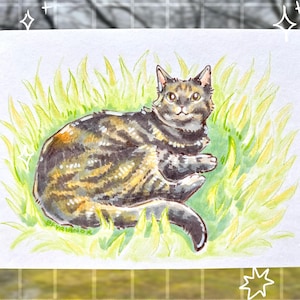 Custom Pet Portrait Commissions! Portrait from photo of pet, colored pencil and watercolor style
